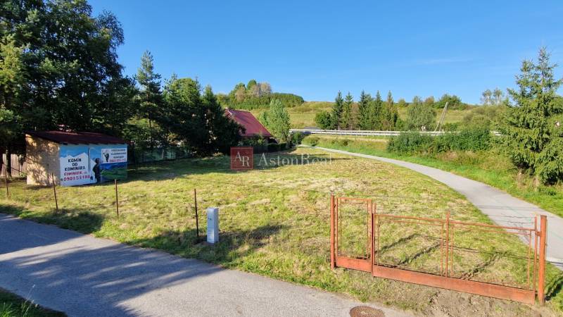 20250902_165543.jpg