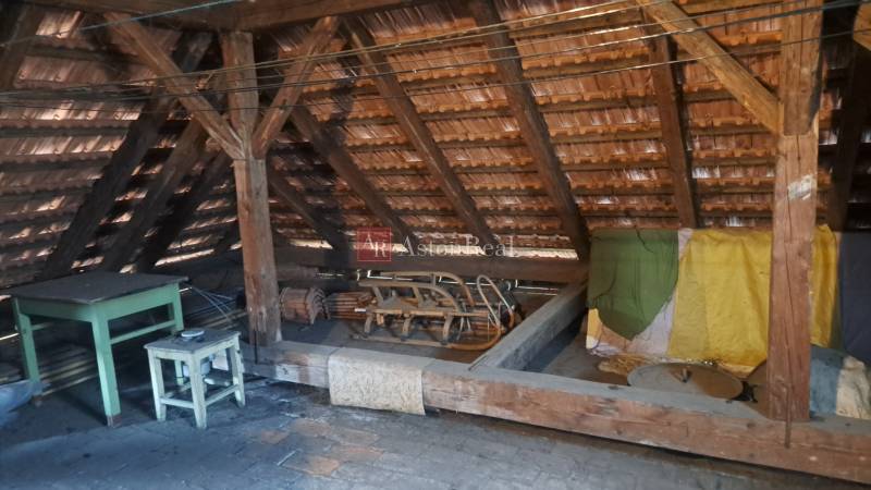 20260316_104545 (1).jpg