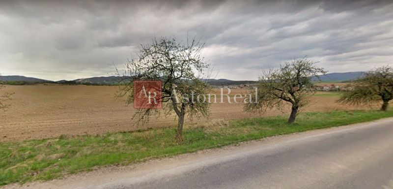 foto 1.jpg