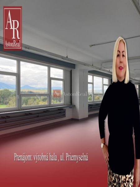 Hala6.jpeg