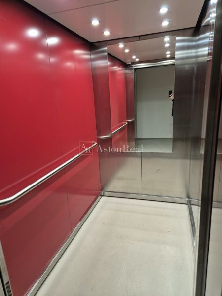 1000050839.jpg